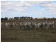 0 “Orana” Duaringa-Biloela Road, Gainsford QLD 4702