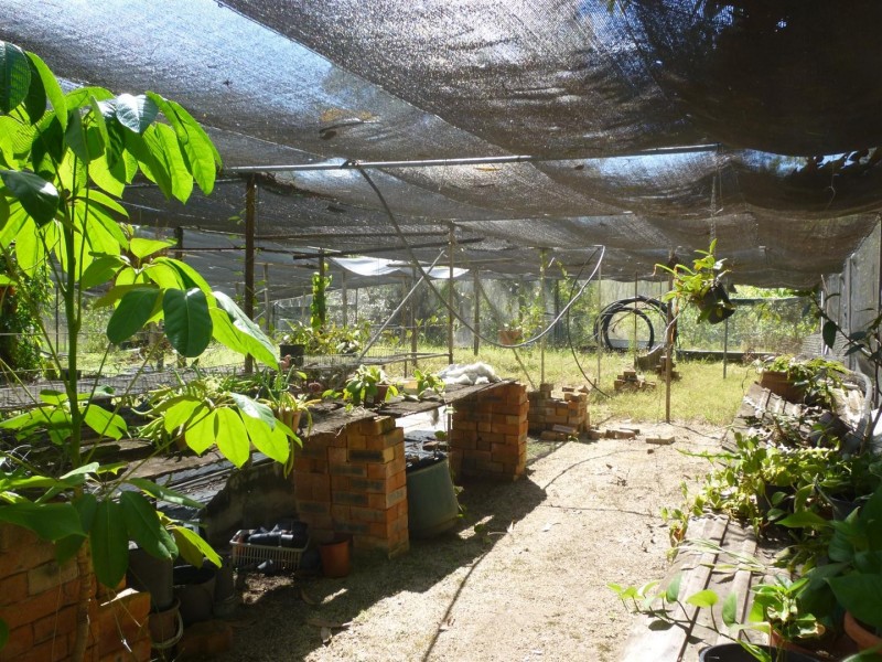 235 Mount Usher Road, Bouldercombe QLD 4702