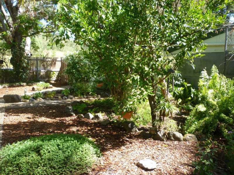 235 Mount Usher Road, Bouldercombe QLD 4702