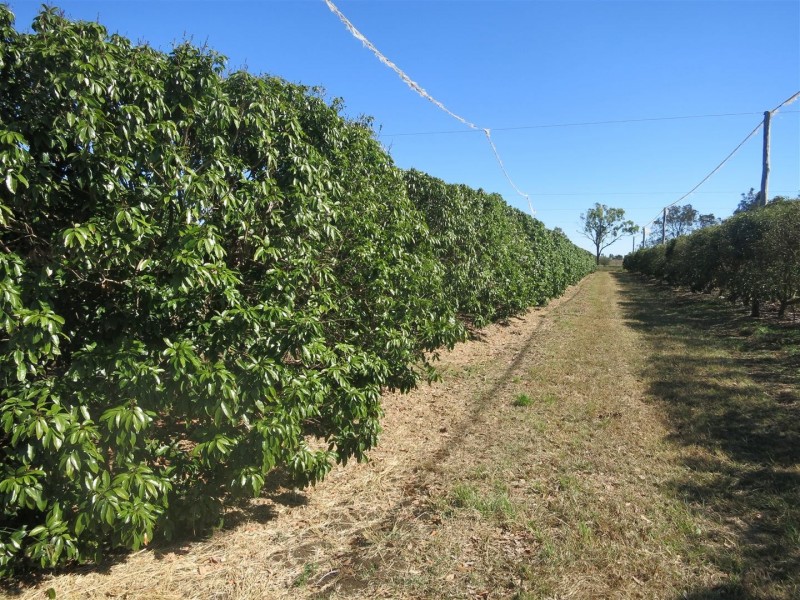 123 Seymour Road, South Yaamba QLD 4702