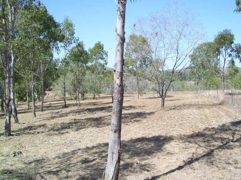25 Gordon Lane, Walterhall QLD 4714