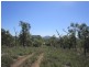 25 Poison Creek Road, Bouldercombe QLD 4702
