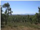 25 Poison Creek Road, Bouldercombe QLD 4702