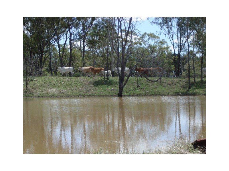 4271 “Huxham” Capricorn Highway, Westwood QLD 4702