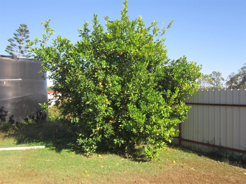 65 Douglas Street, Gracemere QLD 4702