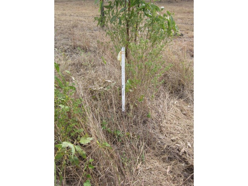 Lot 4 Albert Street, Stanwell QLD 4702