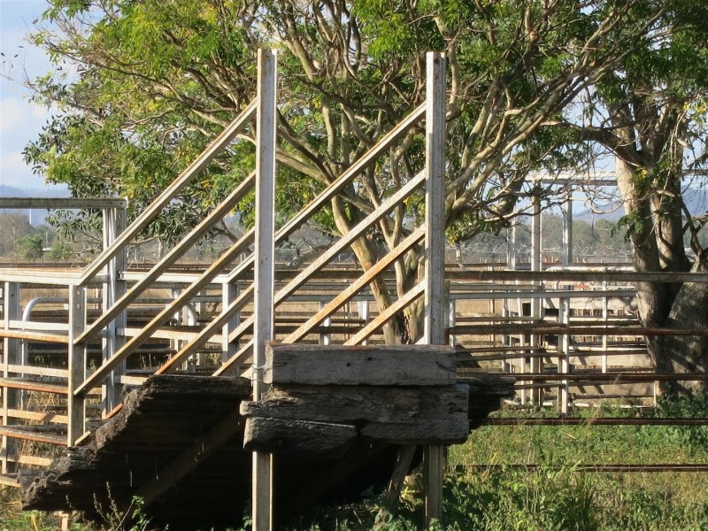 17 Edwards Road, Pink Lily QLD 4702