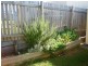 7 Emery Street, Gracemere QLD 4702