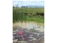 “Tabgha” Casuarina Road, Midgee QLD 4702