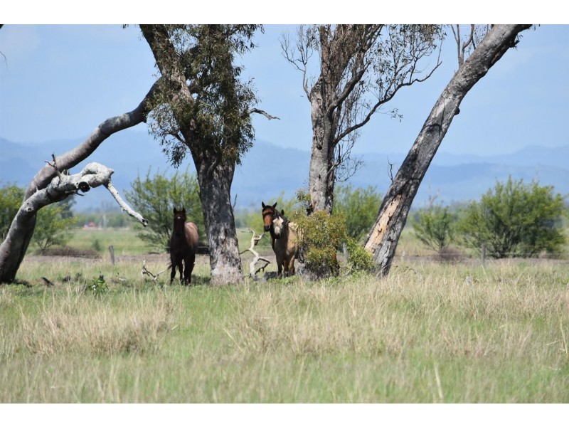 “Tabgha” Casuarina Road, Midgee QLD 4702