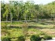 52 Jennings Road, Cawarral QLD 4702