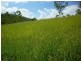 52 Jennings Road, Cawarral QLD 4702