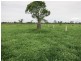 355 Bishop Road, Garnant QLD 4702