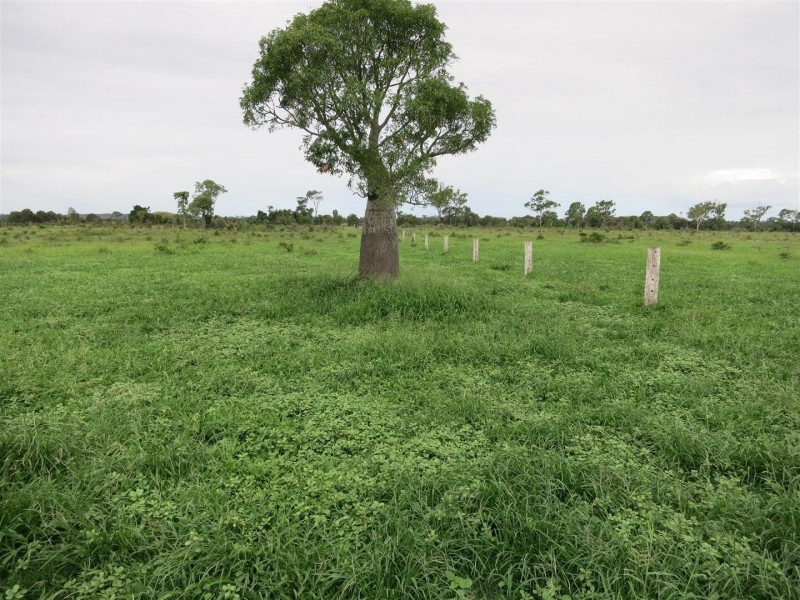 355 Bishop Road, Garnant QLD 4702