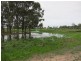 355 Bishop Road, Garnant QLD 4702