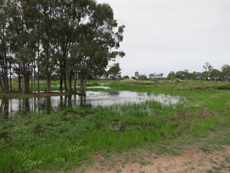 355 Bishop Road, Garnant QLD 4702