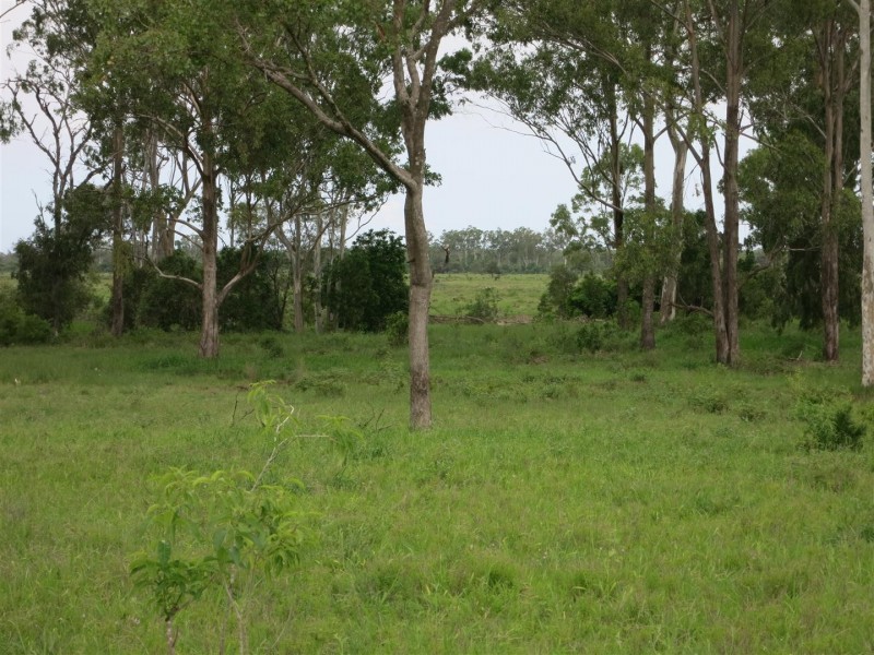 355 Bishop Road, Garnant QLD 4702