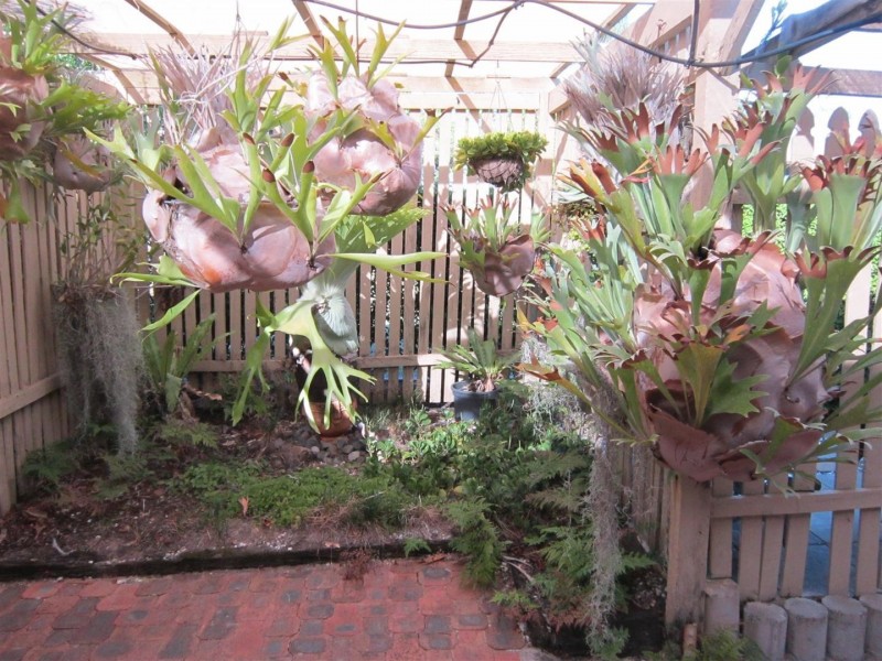 8 Arlott Street, Gracemere QLD 4702