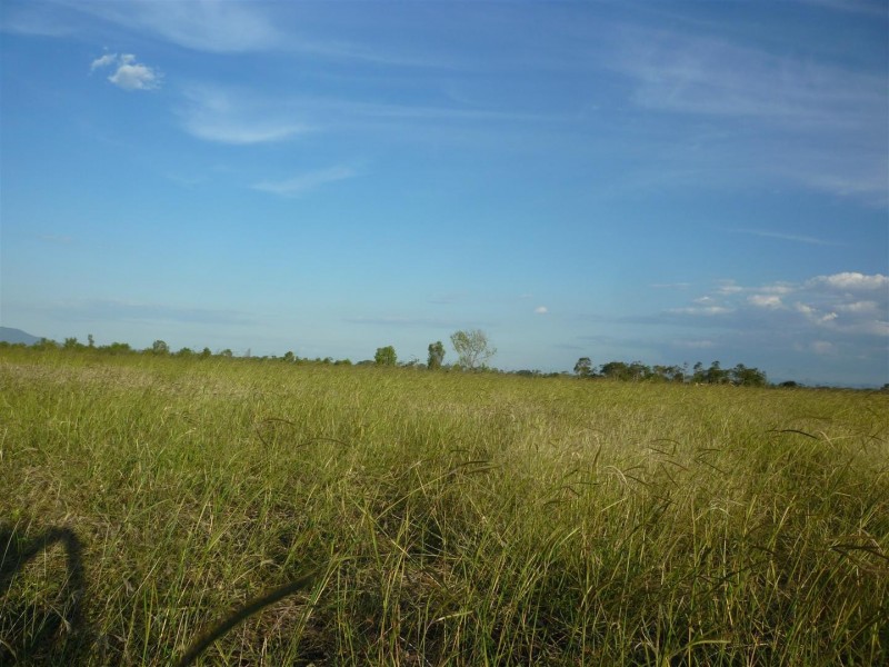 Lot 36 Pandora Road, Alton Downs QLD 4702