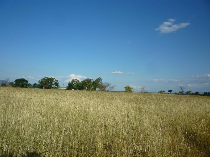 715 Laurel Bank Road, Alton Downs QLD 4702