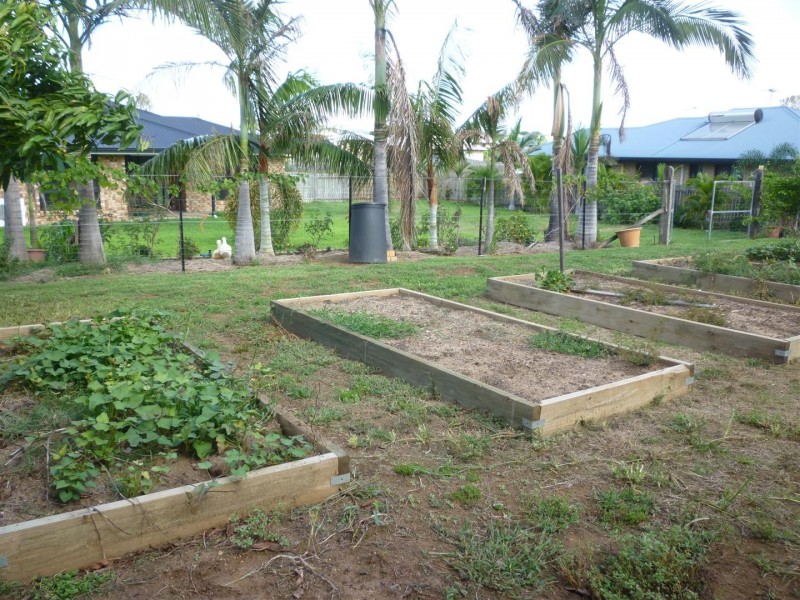 44 Donovan Crescent, Gracemere QLD 4702