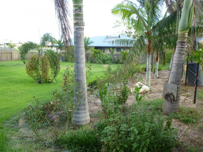 44 Donovan Crescent, Gracemere QLD 4702