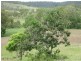 287 “High Downs” Brickworks Road, Stanwell QLD 4702