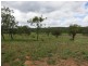 287 “High Downs” Brickworks Road, Stanwell QLD 4702