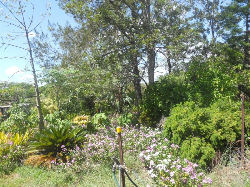 60 Callan Avenue, Kabra QLD 4702