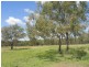 60 Callan Avenue, Kabra QLD 4702