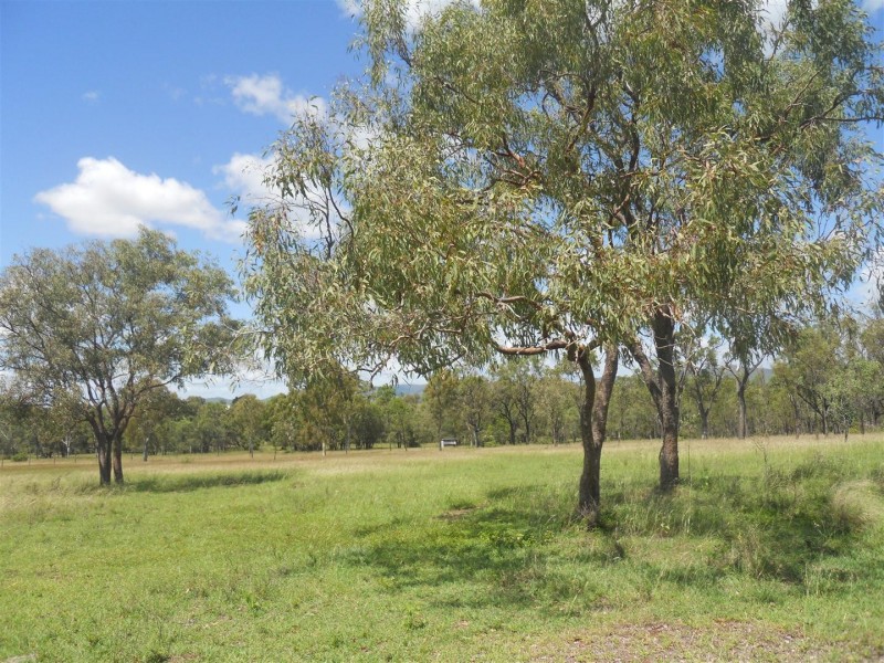 60 Callan Avenue, Kabra QLD 4702