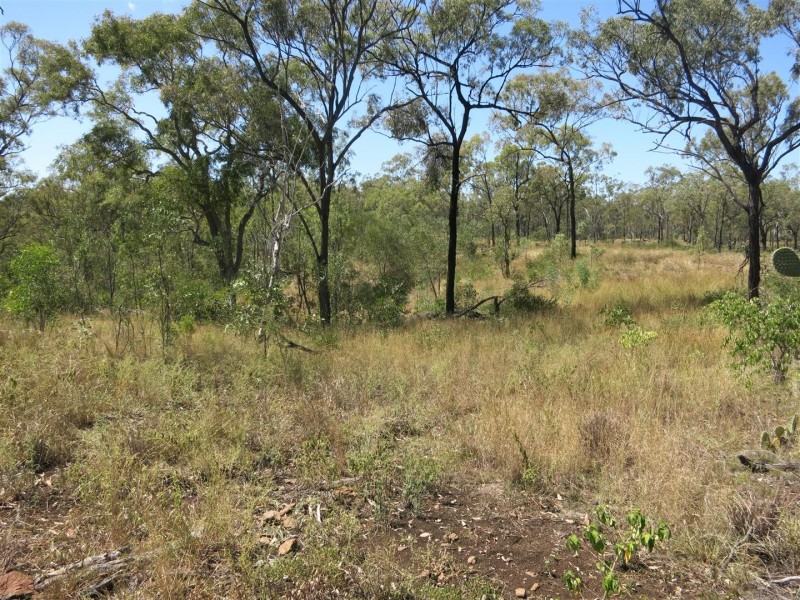 983 Sandy Creek Road, Bushley QLD 4702