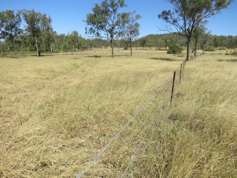 983 Sandy Creek Road, Bushley QLD 4702