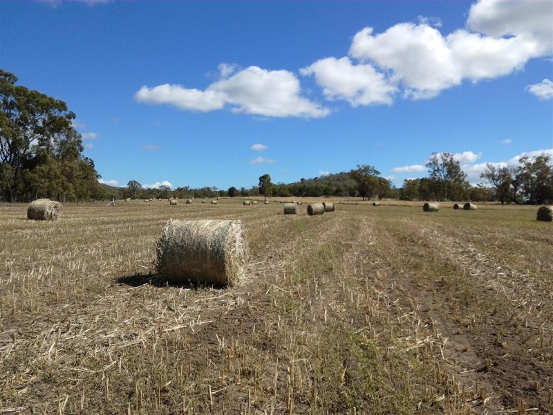 983 Sandy Creek Road, Bushley QLD 4702