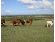 65 Birrahlee Road, South Yaamba QLD 4702
