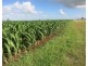 65 Birrahlee Road, South Yaamba QLD 4702
