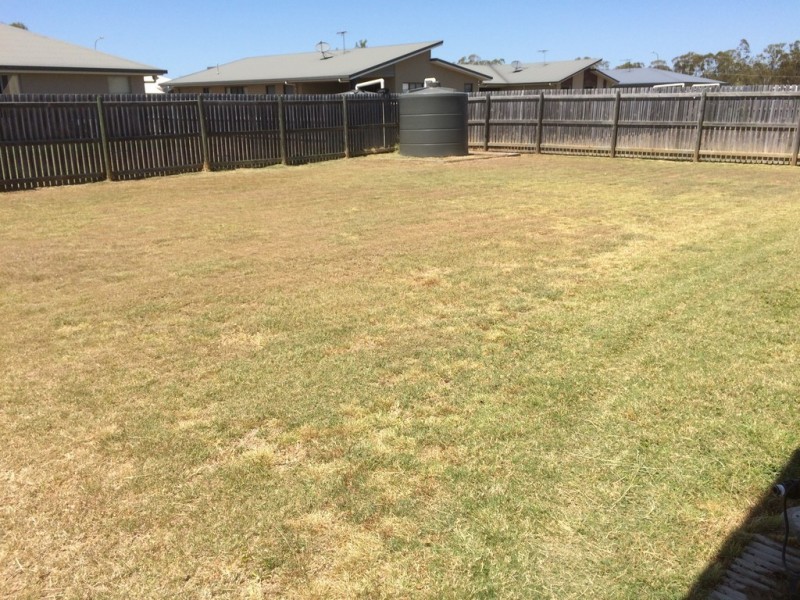 53 MIDDLE ROAD, Gracemere QLD 4702