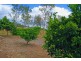 233 Allen Road, Gracemere QLD 4702