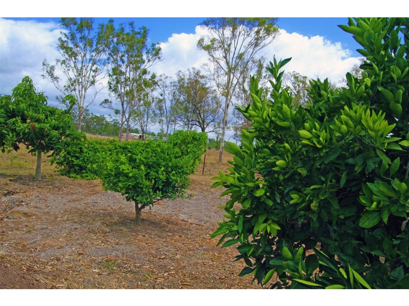 233 Allen Road, Gracemere QLD 4702