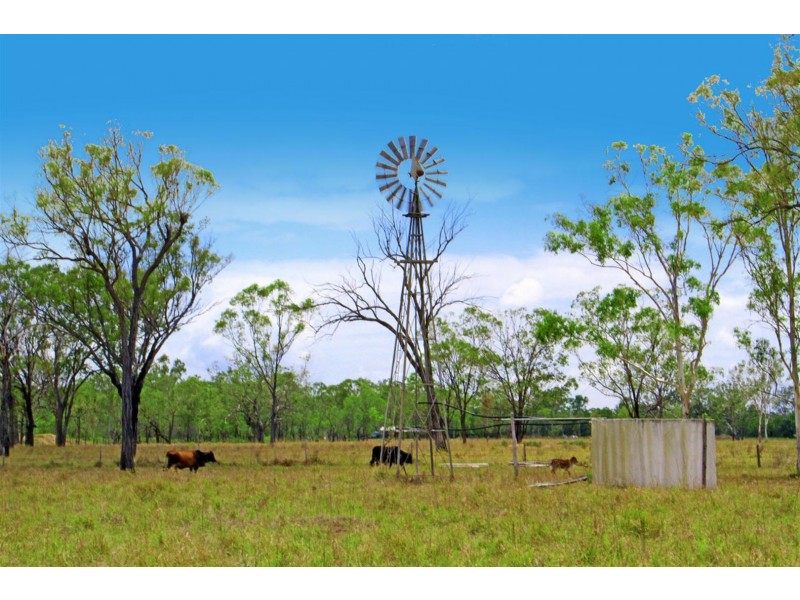 233 Allen Road, Gracemere QLD 4702