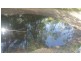 78 Fire Creek Road, Raglan QLD 4697