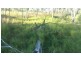 78 Fire Creek Road, Raglan QLD 4697