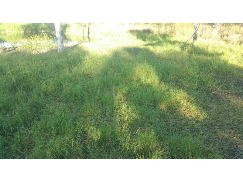 78 Fire Creek Road, Raglan QLD 4697