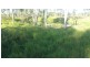 78 Fire Creek Road, Raglan QLD 4697