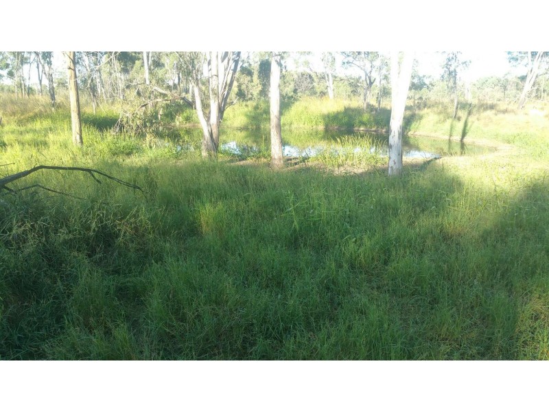 78 Fire Creek Road, Raglan QLD 4697
