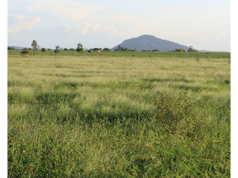 167 Pandora Road, Alton Downs QLD 4702