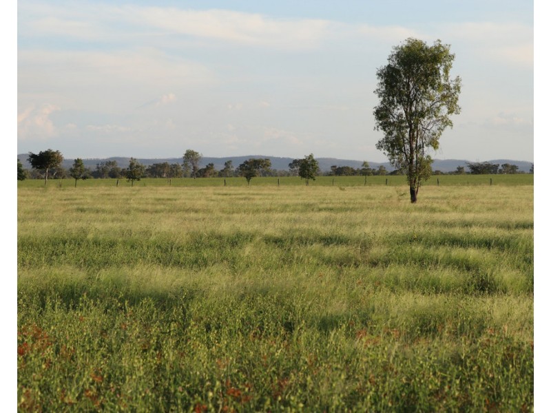 167 Pandora Road, Alton Downs QLD 4702