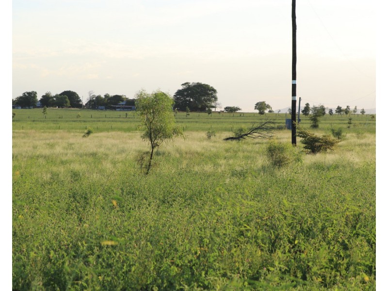 167 Pandora Road, Alton Downs QLD 4702