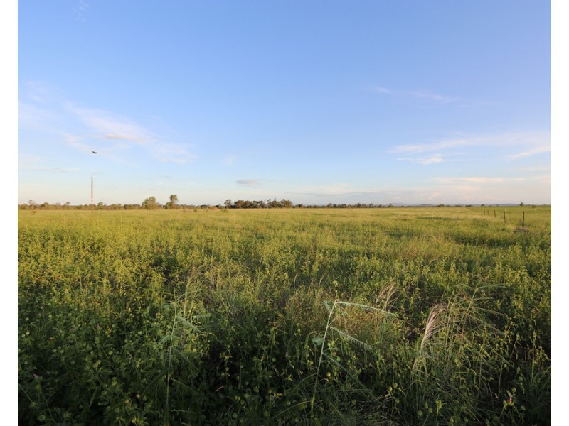 167 Pandora Road, Alton Downs QLD 4702