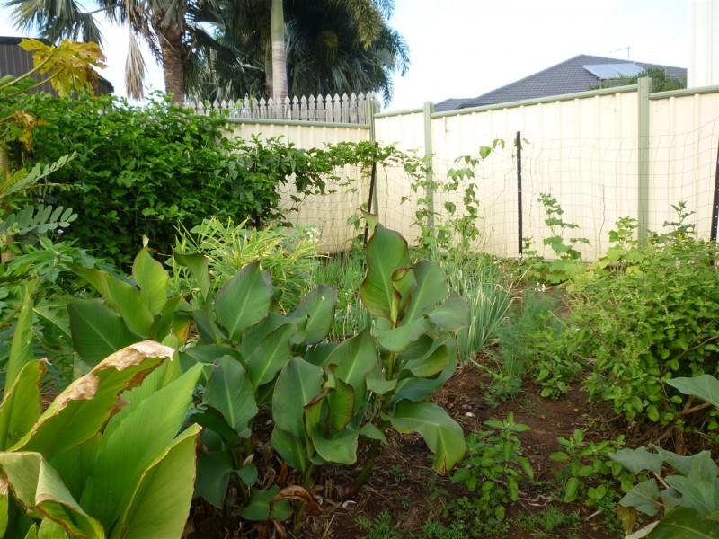 10 Poinciana Place, Gracemere QLD 4702